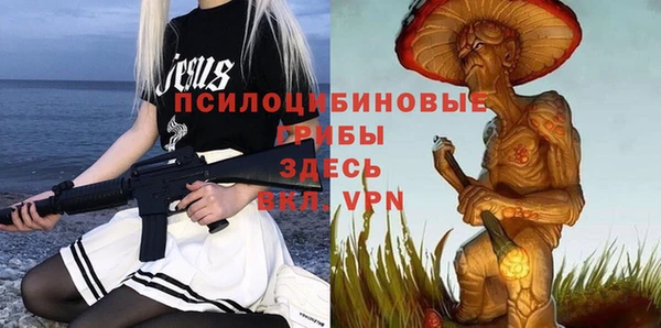 хмурый Коряжма