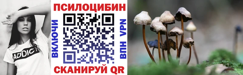 Псилоцибиновые грибы Psilocybe  Чебаркуль 
